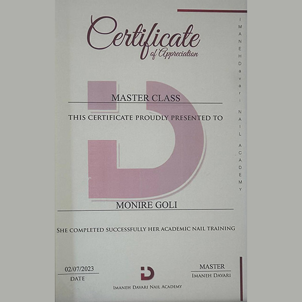 مدرک بین المللی